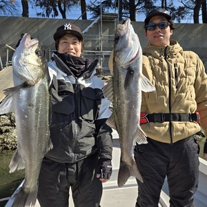 20260204_124151_コピー