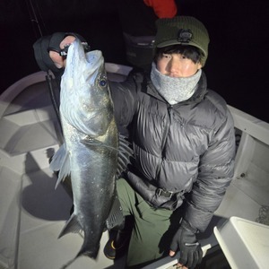 20260207_175118_コピー