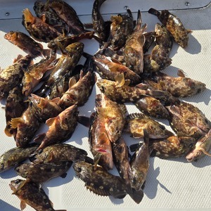 20260207_135843_コピー