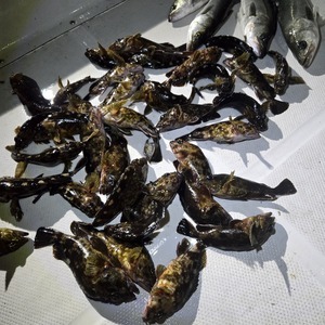 20260208_011714_コピー