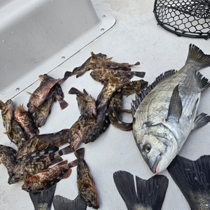 20260208_090838_コピー