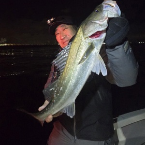 20260208_043639_コピー