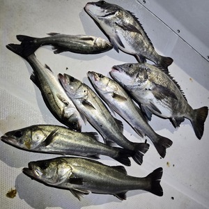 20260214_220102_コピー