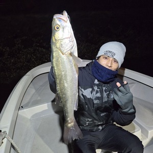 20260214_215615_コピー