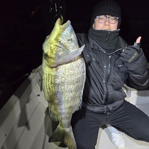 20260214_215242_コピー