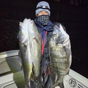 20260218_001315_コピー