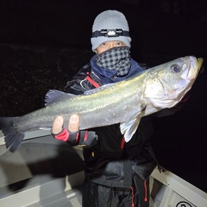 20260218_001053_コピー