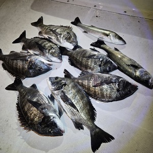 20260220_220704_コピー