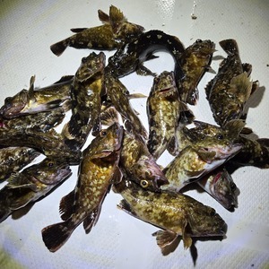 20260222_200113_コピー