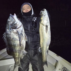 20260222_005615_コピー