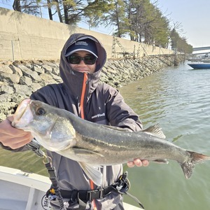 20260223_144714_コピー