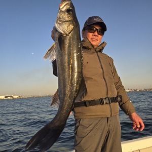 20260301_170123_コピー