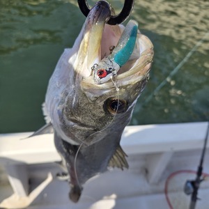 20260301_140523_コピー