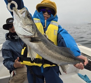 20260302_115125_コピー