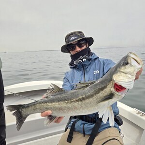 20260302_113306_コピー