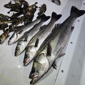 20260308_010456_コピー