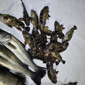 20260308_010443_コピー