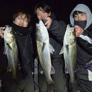 20260308_010136_コピー