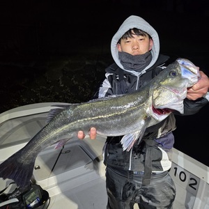 20260308_005906_コピー