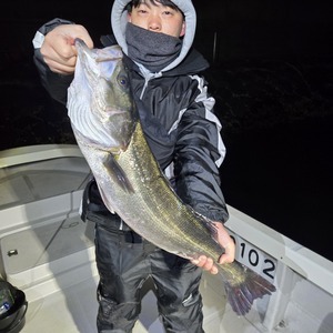 20260308_005639_コピー