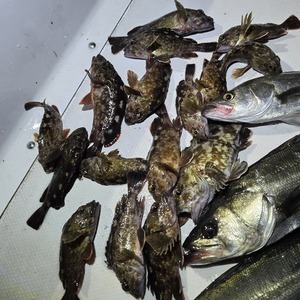 20260314_223602_コピー