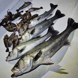 20260314_223536_コピー