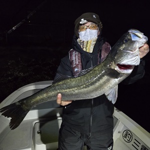 20260314_223224_コピー