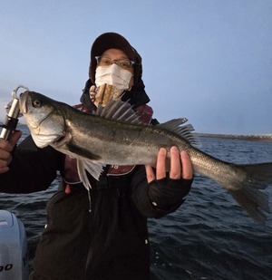 20260314_181554_コピー