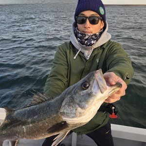 20260315_171046_コピー