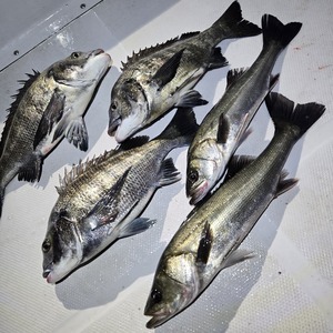 20260316_201203_コピー