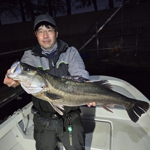 20260321_183703_コピー