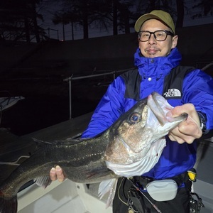 20260321_183558_コピー