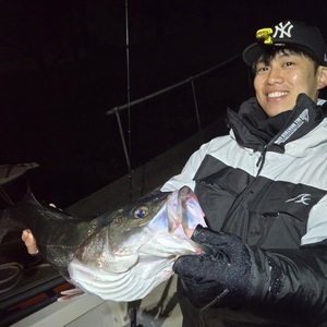 20260321_234752_コピー