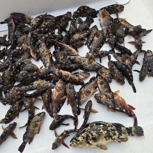 20260324_170441_コピー