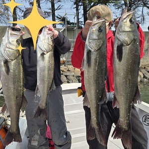 20260328_134318_コピー