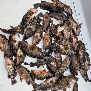 20260329_174423_コピー