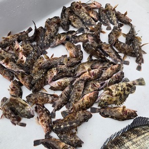 20260330_170848_コピー