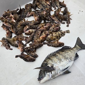 20260330_170843_コピー