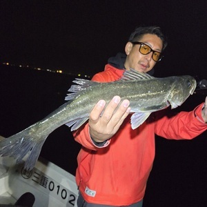 20260330_221138_コピー