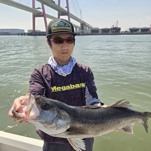 20260403_131351_コピー