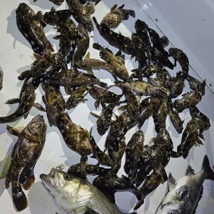 20260404_003428_コピー