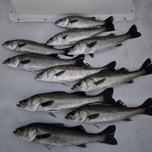 20260405_183257_コピー