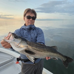 20260405_183008_コピー