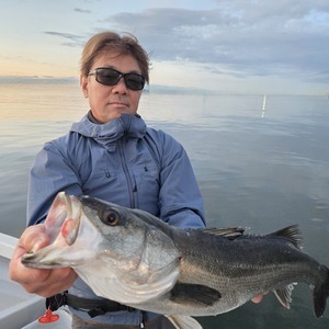 20260405_182912_コピー