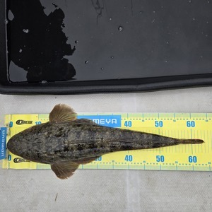 20260409_145502_コピー