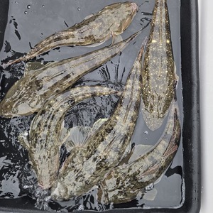 20260409_145059_コピー