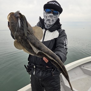 20260409_124411_コピー