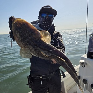 20260408_151846_コピー