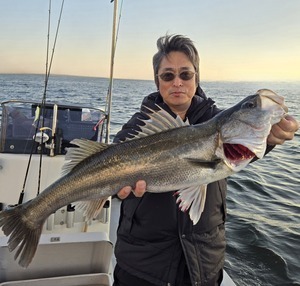 20260408_173613_コピー