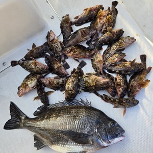 20260411_154137_コピー